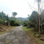 Terreno à venda em Serra da Cantareira, Mairiporã, SP