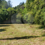 Chácara à venda com 5 quartos, sendo 1 suíte, em Estância São Luís, Suzano, SP