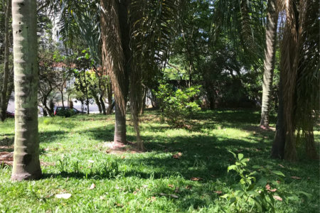 Terreno à venda em Lar São Paulo, São Paulo, SP