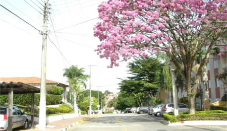Apartamento à venda com 1 quarto em Jardim São Paulo, Sorocaba, SP