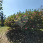 Sítio à venda com 3 quartos, sendo 1 suíte,  em Da Barra, Salto de Pirapora, SP