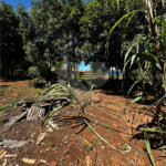 Terreno à venda em Residencial Emilio de Andrade, Ponta Porã, MS