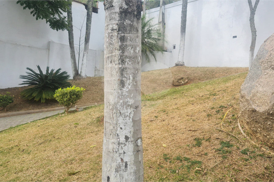 Casa à venda com 5 suítes em Roseira, Mairiporã, SP