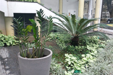 Apartamento à venda com 3 quartos, sendo 1 suíte, em Vila Monumento, São Paulo, SP