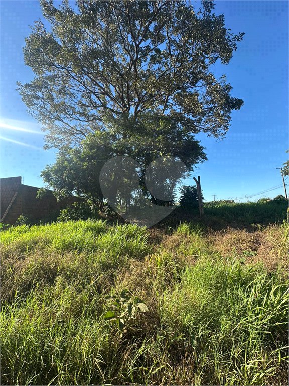Terreno à venda em Pedro Juan Caballero, Amambay