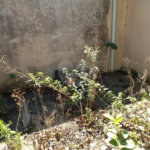 Terreno à venda em Vila Albertina, São Paulo, SP