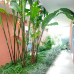 Casa Térrea à venda com 5 suítes em Alto da Boa Vista, São Paulo, SP