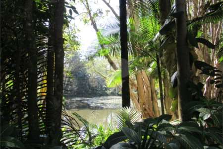 Terreno à venda em Chácara Flora, São Paulo, SP