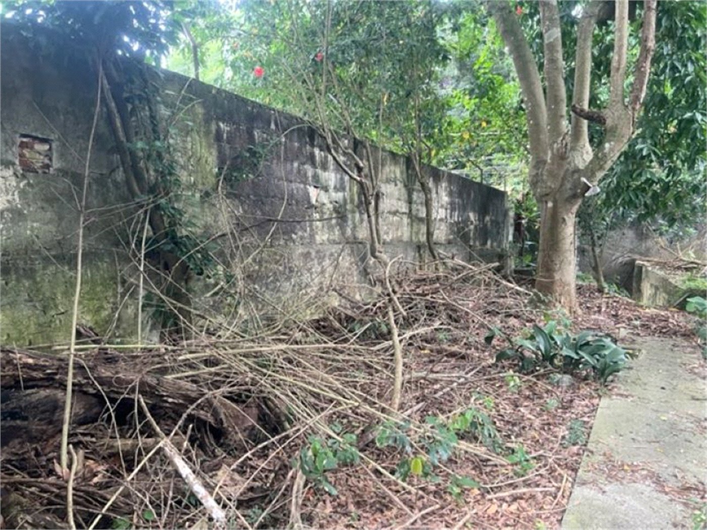 Terreno à venda com 1 quarto em Horto, São Paulo, SP