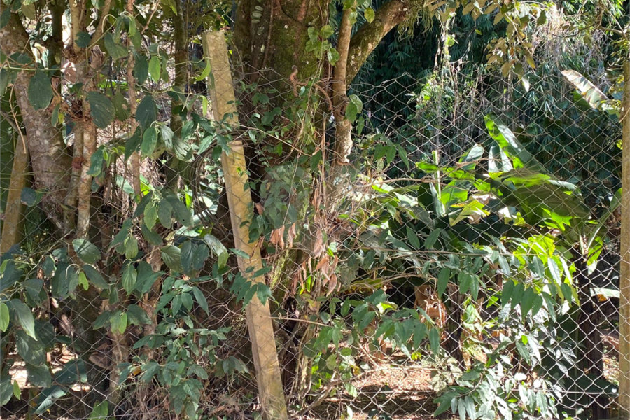 Terreno à venda em Luiz Fagundes, Mairiporã, SP