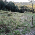 Terreno à venda em Vila Darcy Penteado (mailasqui), São Roque, SP