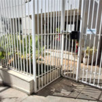Apartamento para alugar com 2 suítes em Jardim Judith, Sorocaba, SP