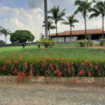 Rancho com 12 dormitórios à venda, 63000 m² por R$ 7.500.000,00 - Condomínio Haras Paineiras - Salto/SP