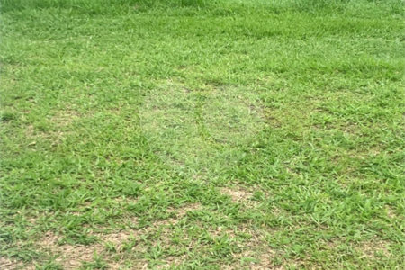 Terreno à venda no condomínio Residencial Veneza, Mogi das Cruzes - SP