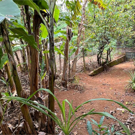 Terreno à venda em Santana, São Paulo, SP