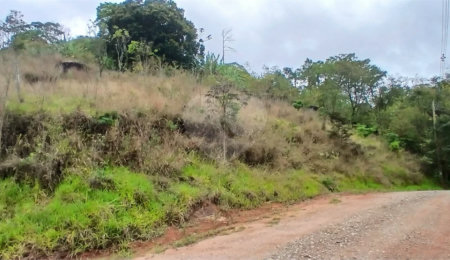 Terreno à venda em Luiz Fagundes, Mairiporã, SP