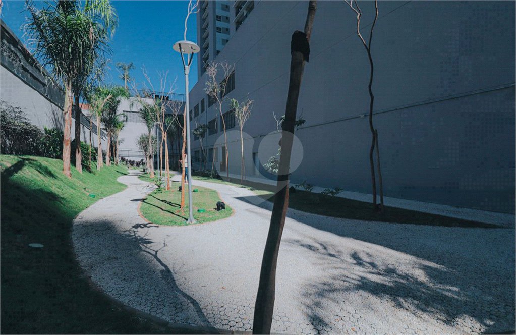Apartamento à venda com 3 quartos, sendo 1 suíte, em Barra Funda, São Paulo, SP