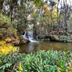 Sítio à venda com 4 quartos, sendo 1 suíte,  em Moinho, Nazaré Paulista, SP