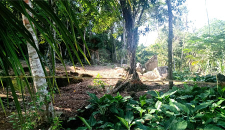 Terreno à venda em São Pedro (cambaquara), Ilhabela, SP