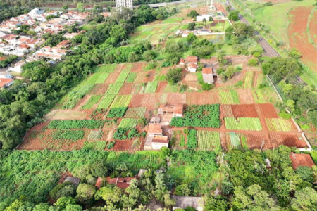 Terreno à venda em Jardim Itaú, Ribeirão Preto, SP