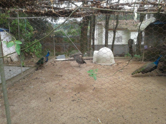 Terreno à venda em Horto Florestal, São Paulo, SP
