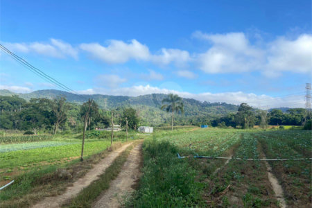 Terreno à venda com 5 quartos, sendo 4 suítes, em Vila Aparecida, Suzano, SP