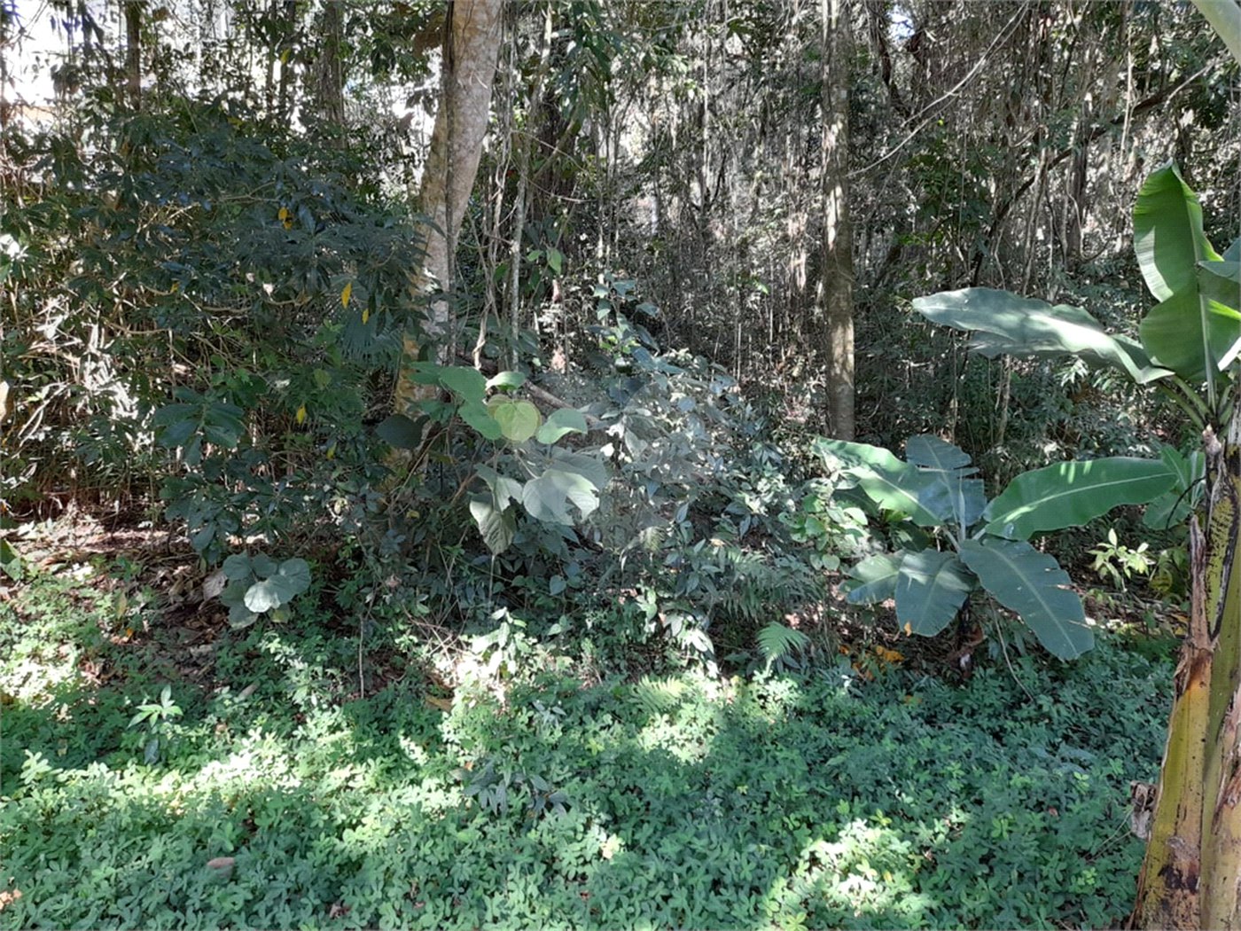 Terreno à venda em Roseira, Mairiporã, SP