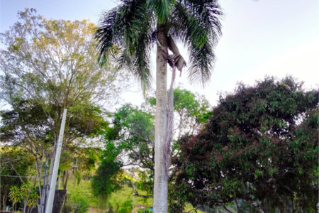 Chácara à venda com 1 suíte em Chácaras Vista Alegre, Arujá, SP