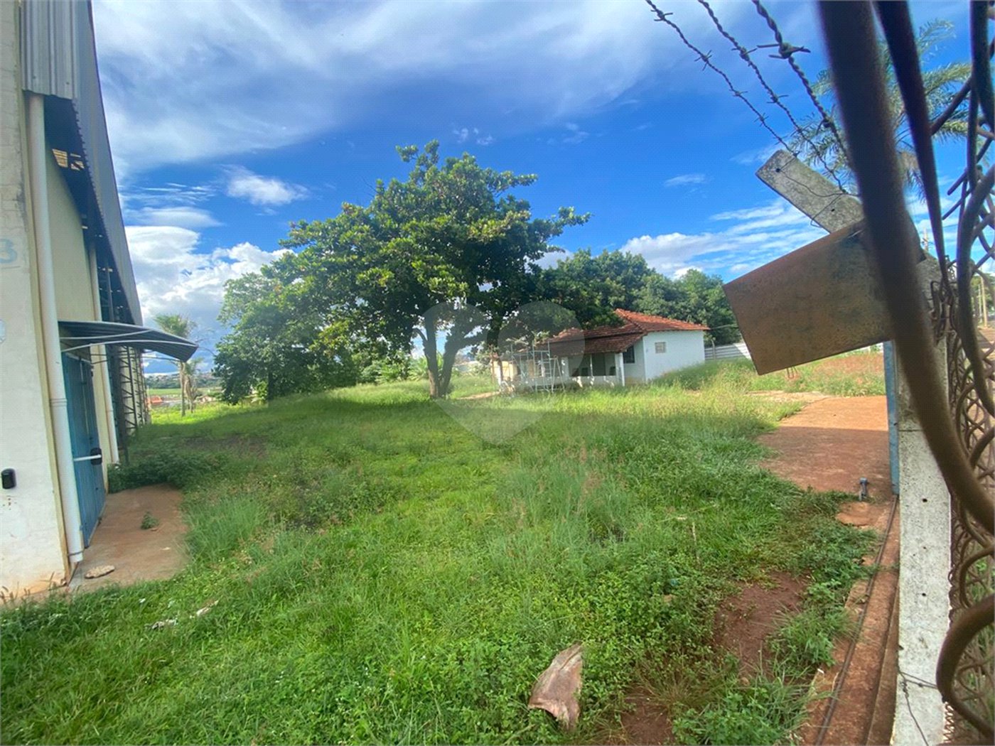 Galpão à venda ou para alugar em Jardim Eliana, Araraquara, SP