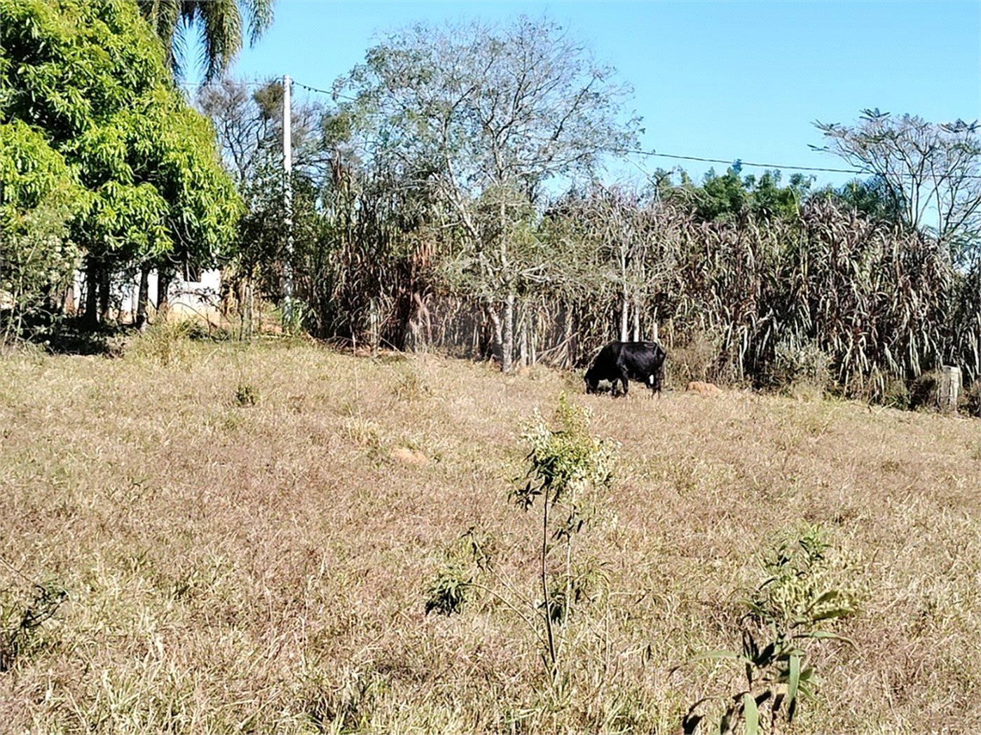 Sítio à venda com 3 quartos, sendo 1 suíte,  em Da Barra, Salto de Pirapora, SP