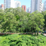 Apartamento à venda com 4 quartos, sendo 3 suítes, em Vila Suzana, São Paulo, SP