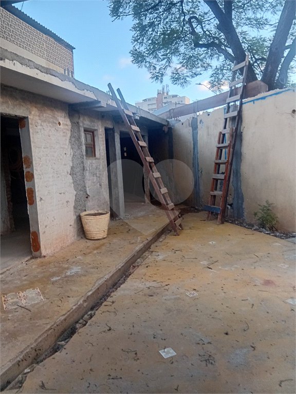 Terreno à venda em Vila Albertina, São Paulo, SP