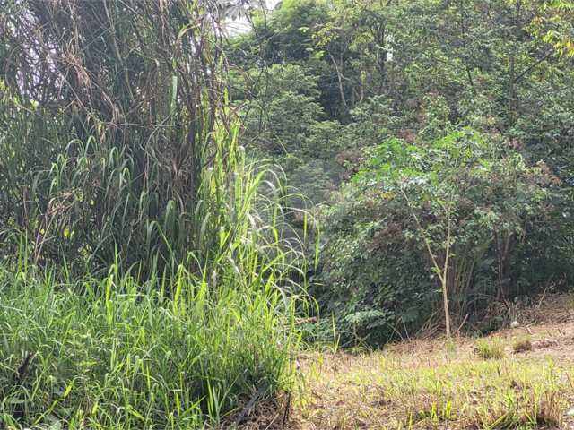 Terreno à venda em Barreiro, Mairiporã, SP