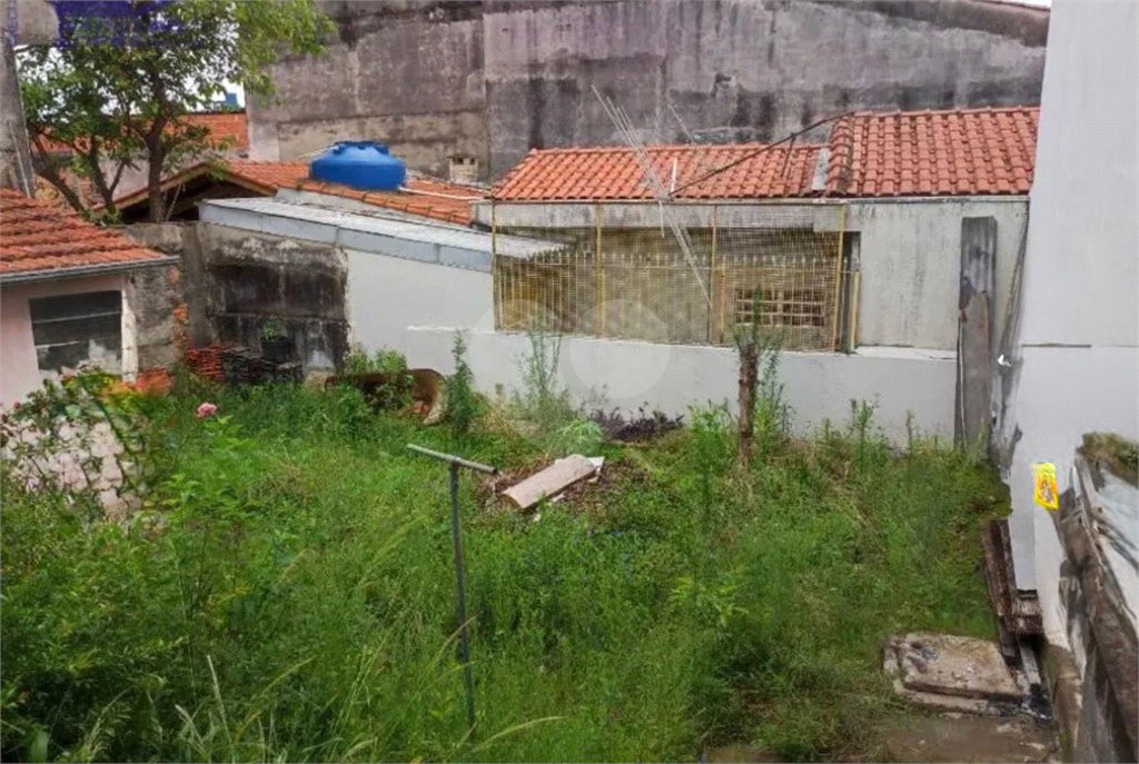 Terreno à venda com 3 quartos em Tucuruvi, São Paulo, SP