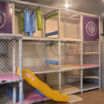 Apartamento à venda com 4 quartos, sendo 1 suíte, em Sumaré, São Paulo, SP