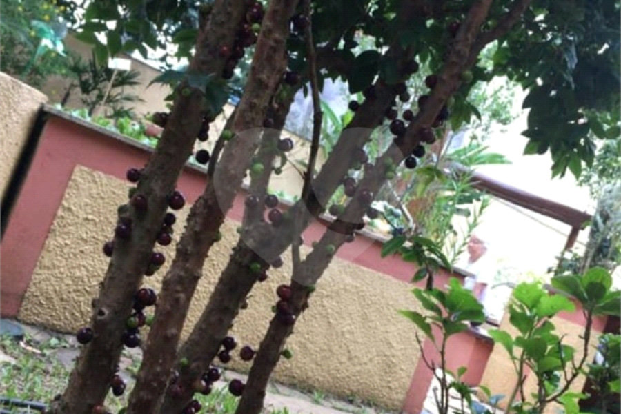 Sobrado à venda com 6 quartos, sendo 2 suítes, em Horto Florestal, São Paulo, SP