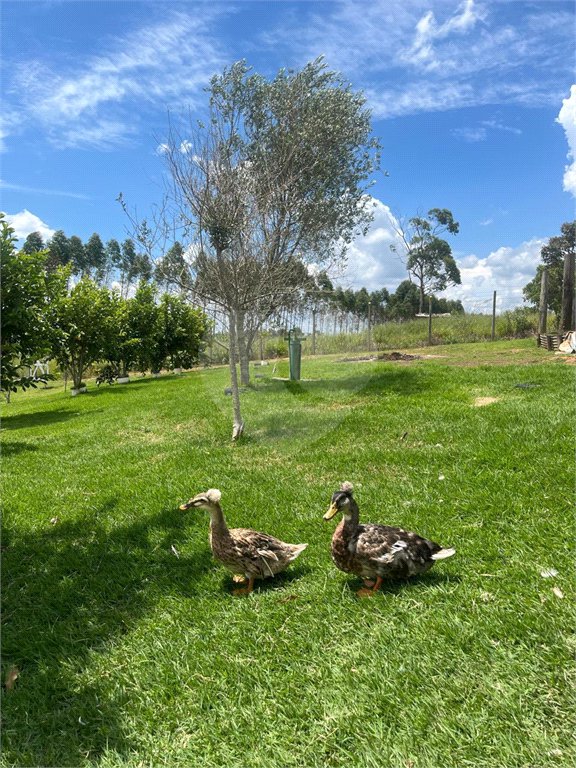 Terreno à venda com 2 quartos no condomínio Reserva do Morro Alto, Jarinu - SP