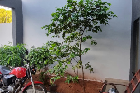 Sobrado à venda com 3 quartos, sendo 1 suíte,  em Jardim Alvorada, Três Lagoas, MS