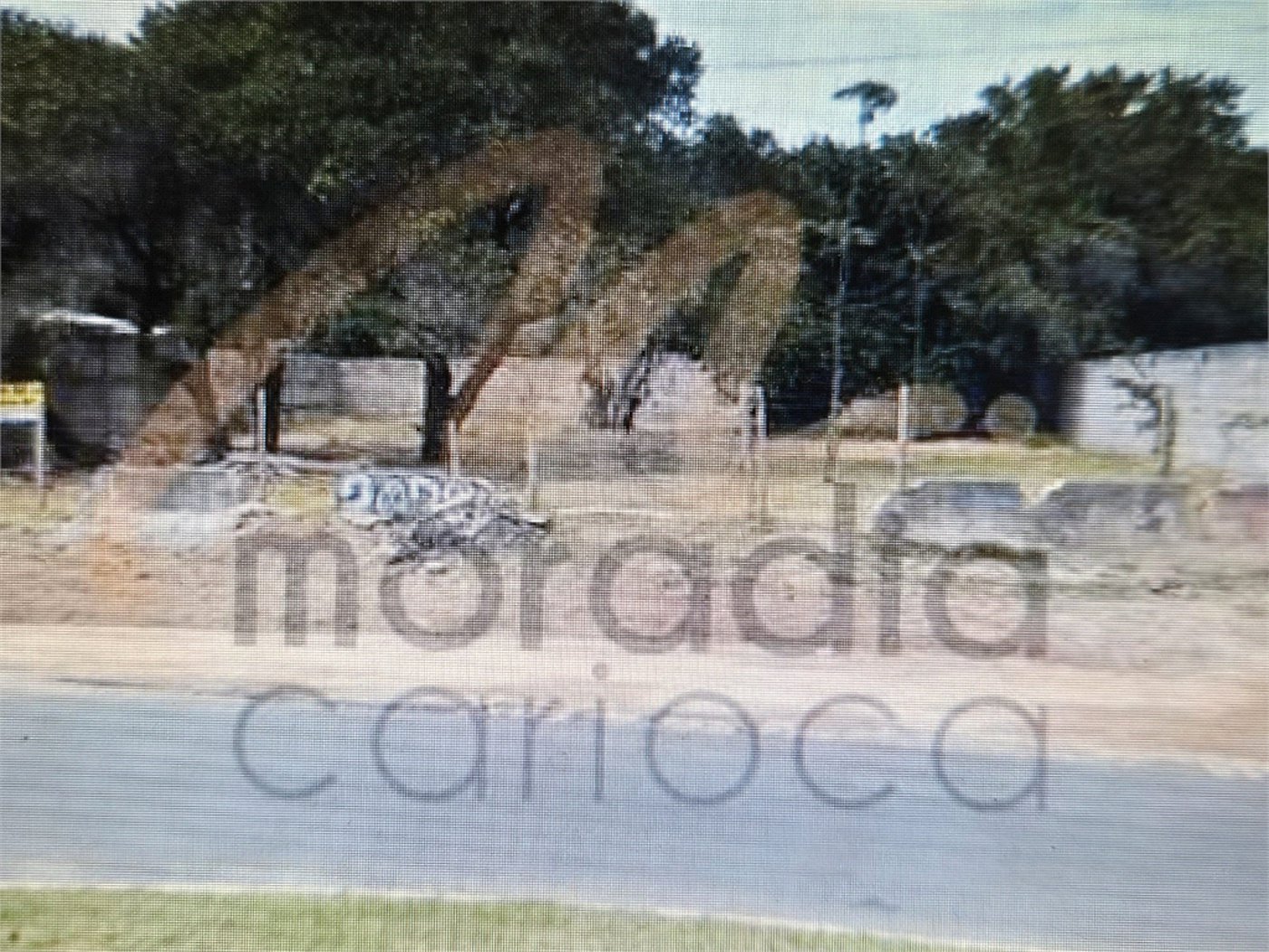 Terreno à venda em Armação, Armação dos Búzios, RJ