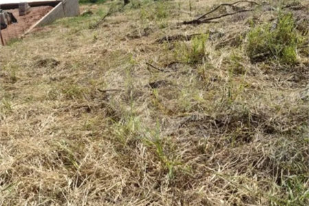 Terreno à venda no condomínio Recanto das Palmeiras, Jundiaí - SP