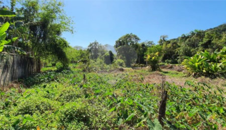 Terreno à venda em Sertão do Camburi, São Sebastião, SP
