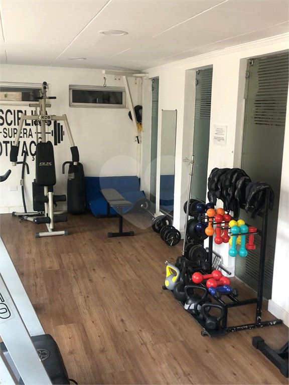 Apartamento para alugar com 3 quartos em Tucuruvi, São Paulo, SP
