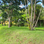 Terreno em condomínio à venda em Jardim Paulistano, Salto de Pirapora, SP