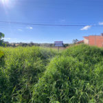 Terreno à venda em Jardim das Paineiras, Ponta Porã, MS