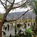 Casa Térrea à venda com 2 quartos em Corumbá (terra Preta), Mairiporã, SP