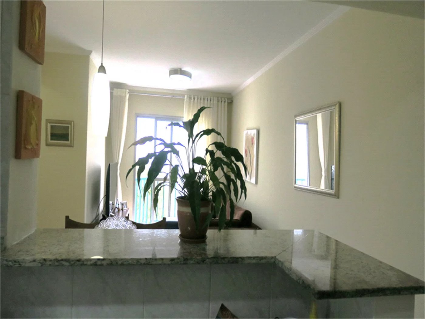 Apartamento à venda com 2 quartos, sendo 1 suíte, em Vila Suzana, São Paulo, SP