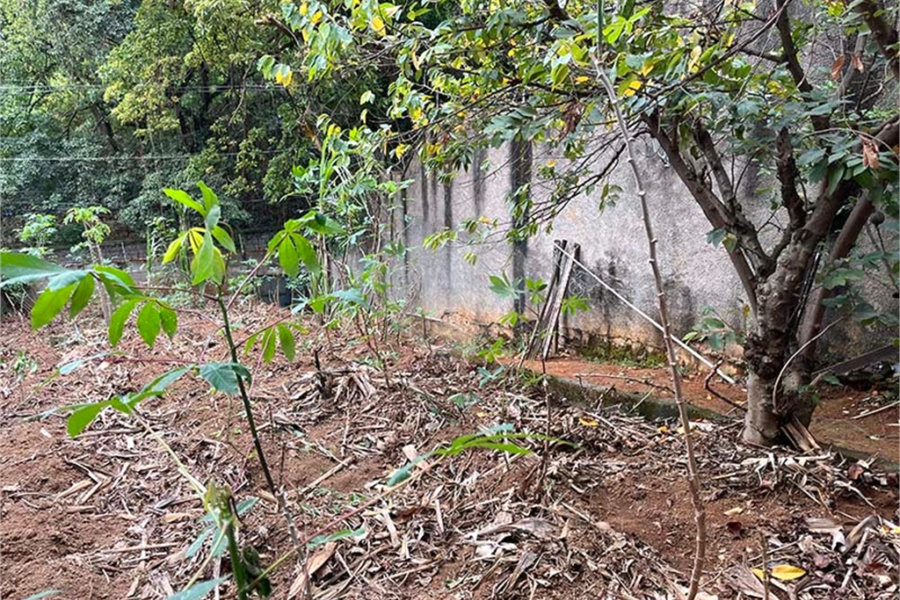Terreno à venda em Santana, São Paulo, SP