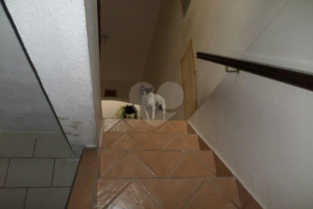 Sobrado à venda com 3 quartos, sendo 2 suítes, em Parada Inglesa, São Paulo, SP