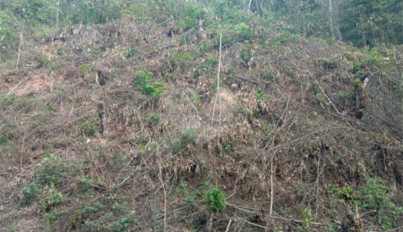 Terreno à venda no condomínio Sausalito, Mairiporã - SP