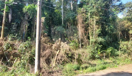 Condomínio à venda em Caraguatá, Mairiporã, SP